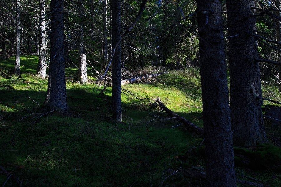 lars goran thureson hoga kusten  8 av 