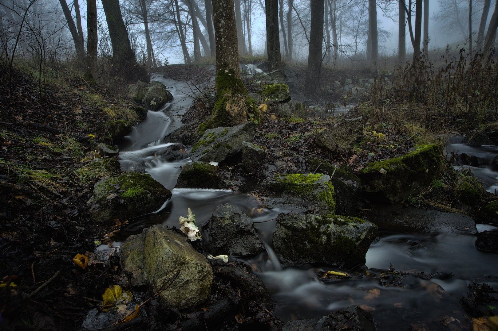 1.helenquarfot itrollskogen2014